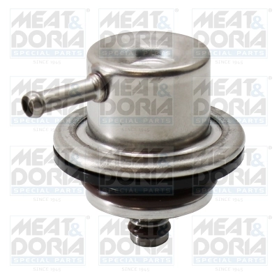 Fuel Pressure Regulator